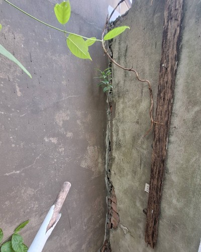 嘉義市透天厝外牆防水施工, 嘉義市外牆防水價格?, 嘉義市外牆防水, 嘉義市室內防水工程, 嘉義市透天外牆防水推薦, 嘉義市防水工程